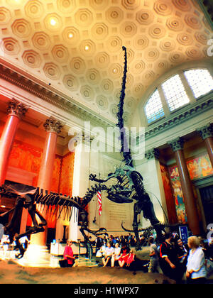 Il Museo Americano di Storia Naturale, NYC Foto Stock