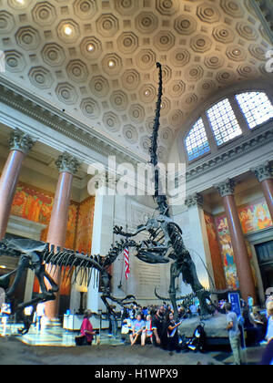 Il Museo Americano di Storia Naturale, NYC Foto Stock