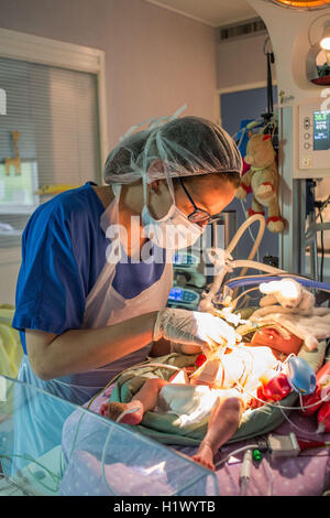 La nutrizione per via parenterale, Dipartimento di Pediatria, ospedale di Bordeaux, Francia. Foto Stock