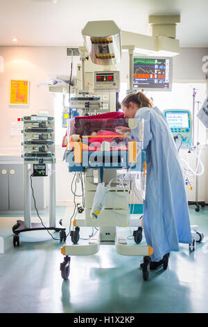 Prematuro neonato posto sotto assistenza respiratoria, Dipartimento di Pediatria, ospedale di Bordeaux, Francia. Foto Stock