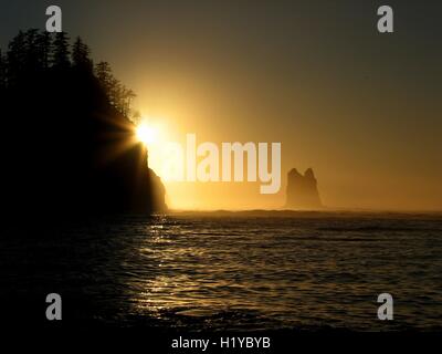 Sunset over seastacks su La spingere prima spiaggia nel Parco Nazionale di Olympic vicino a forche, Washington. Foto Stock