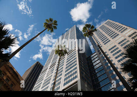 Uffici moderni edifici tra cui uno Bligh Street sopra torreggianti palme CBD di Sydney Australia Foto Stock