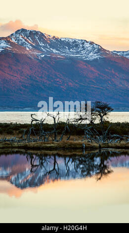 Autunno in Patagonia. Tierra del Fuego, Canale Beagle e territorio cileno, vista dal lato di Argentina Foto Stock