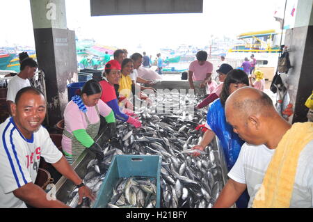 General Santos, Filippine - 5 Settembre 2015: i pescatori sono la selezione di tonno al porto Foto Stock