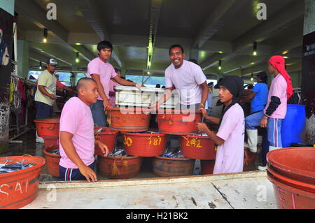 General Santos, Filippine - 5 Settembre 2015: i pescatori sono la raccolta di tonno al porto Foto Stock