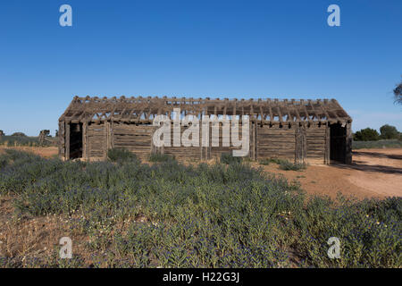 Resti di lana capannone di taglio a Zanci Homestead Mungo Parco Nazionale del Nuovo Galles del Sud Australia Foto Stock