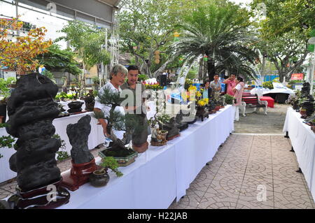 Nha Trang, Vietnam - Febbraio 5, 2016: gli artigiani sono la visualizzazione ad un bonsai concorso per il nuovo anno lunare Foto Stock