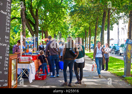 Monaco di Baviera, Germania. 24Sep, 2016. Prenota il mercato delle pulci con bellissimo tempo caldo presso il fiume Isar passeggiata nel centro di Monaco di Baviera: libri usati per leggere, sfogliare e comprare sotto gli alberi con un RIVE-GAUCHE-come affascinante sensazione Credito: Luisa Fumi/Alamy Live News Foto Stock