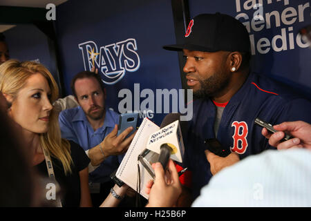 San Pietroburgo, Florida, Stati Uniti d'America. 24Sep, 2016. Sarà VRAGOVIC | Orari.Boston Red Sox designato hitter David Ortiz (34) parla con i giornalisti prima della partita tra Boston Red Sox e Tampa Bay Rays in campo Tropicana il Sabato, Settembre 24, 2016. © sarà Vragovic/Tampa Bay volte/ZUMA filo/Alamy Live News Foto Stock