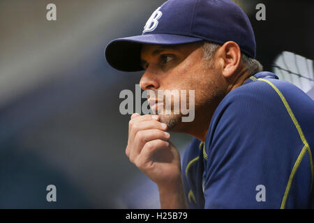 San Pietroburgo, Florida, Stati Uniti d'America. 24Sep, 2016. Sarà VRAGOVIC | Orari.Tampa Bay Rays manager Kevin contanti (16) in piroga durante la partita tra Boston Red Sox e Tampa Bay Rays in campo Tropicana il Sabato, Settembre 24, 2016. © sarà Vragovic/Tampa Bay volte/ZUMA filo/Alamy Live News Foto Stock