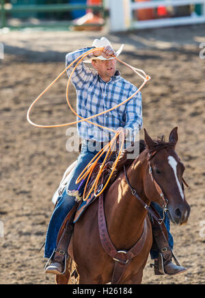 Rodeo cowboy a cavallo, Chaffee County Fair & Rodeo, Salida, Colorado, STATI UNITI D'AMERICA Foto Stock