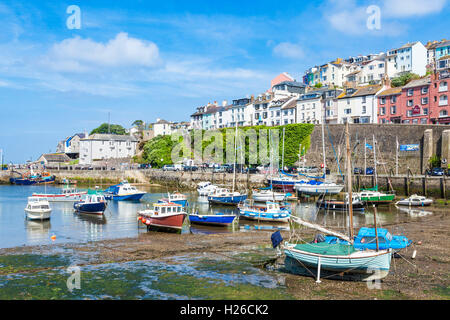 Brixham Devon - Yachts e barche da pesca a Brixham Harbour, Brixham, Devon, Inghilterra, Regno Unito, GB, Europa Foto Stock