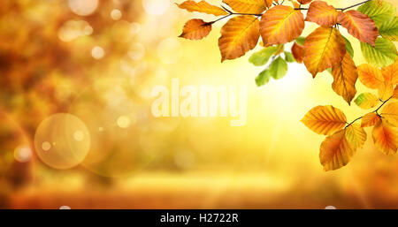 In autunno il faggio foglie decorare una natura bellissima bokeh sfondo incandescente con la luce del sole e gli alberi sfocata Foto Stock