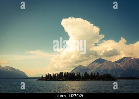 Bove isola nel Lago Tagish, Yukon Canada in estate con colorazione vintage. Foto Stock