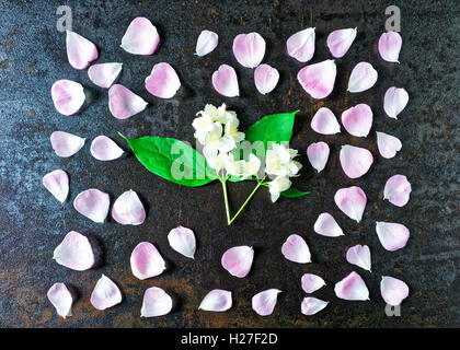 Telaio con petali di rosa tea rose e fiori di gelsomino su pietra con effetto metallizzato sfondo. Lay piatto. Foto Stock