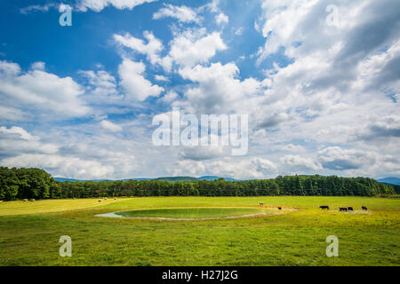 Azienda agricola e campo piccolo stagno nel rurale Shenandoah Valley della Virginia. Foto Stock