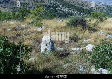 Paesaggi della Sicilia centrale in estate. Con la tipica siciliana di colline e ulivi, con una strada che si snoda attraverso la moun Foto Stock