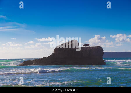 L uomo non identificato con la tavola da surf sulla grande roccia di montagna a Tonel Beach, Sagres Portogallo Foto Stock