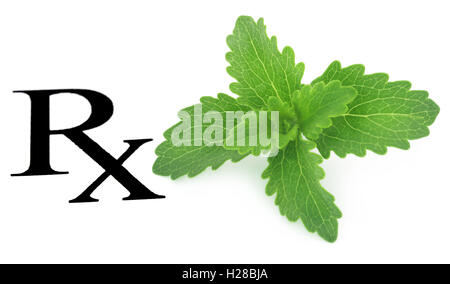 Foglie di Stevia come prescritto medicine Foto Stock