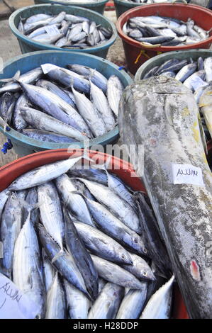 General Santos, Filippine - 5 Settembre 2015: pesci vengono sbarcati al porto Foto Stock