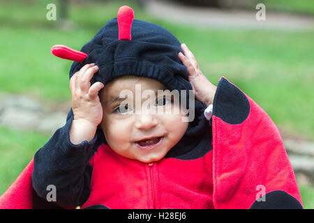 Piccola bambina indossa un costume coccinella Foto Stock