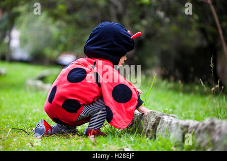 Piccola bambina indossa un costume coccinella Foto Stock