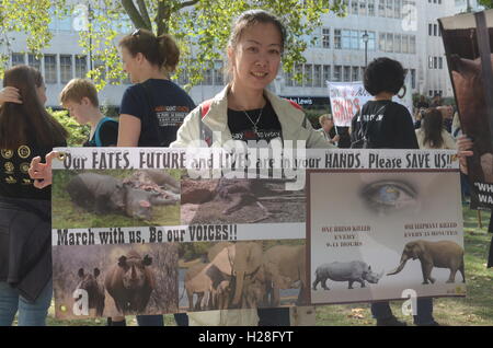 Manifestanti dimostrando per salvare gli elefanti e rinoceronti Foto Stock