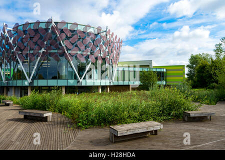 Highfields e Automotive Engineering Center Building, Nottingham Science Park, Nottingham, Inghilterra, Regno Unito. Hawkins Brown 2008. Foto Stock