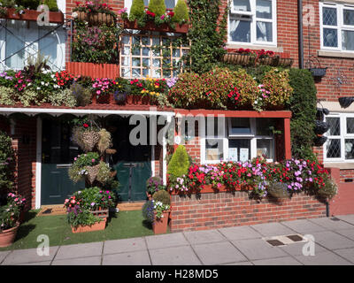 Terrazza case con flora display in Bloom, Albert Road, Southsea, Portsmouth, Hampshire, Inghilterra, Regno Unito Foto Stock