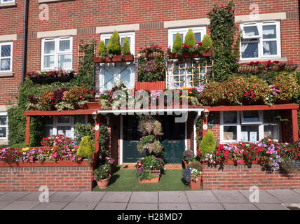 Terrazza case con flora display in Bloom, Albert Road, Southsea, Portsmouth, Hampshire, Inghilterra, Regno Unito Foto Stock