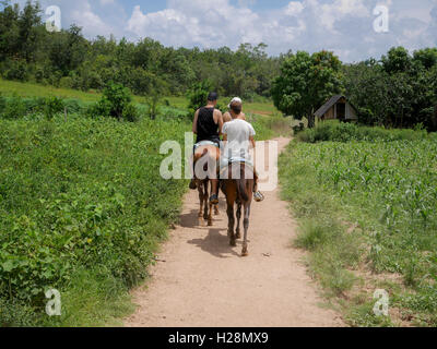 Uomini a cavallo in un campo Foto Stock