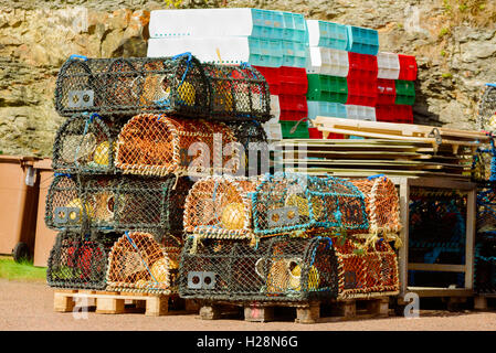 Mollosund, Svezia - 9 Settembre 2016: ambientale documentario di trappole a base di aragosta su pallet in attività di pesca in zona Porto. Foto Stock