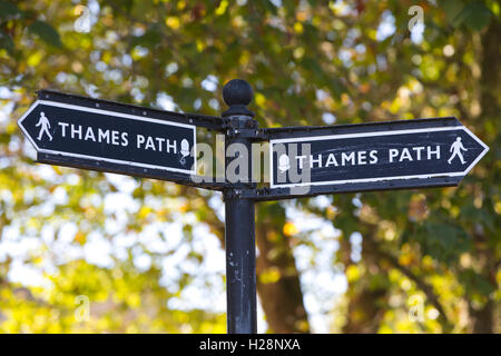 Thames Path, Riverside a piedi lungo il fiume Tamigi, Central London, England, Regno Unito Foto Stock
