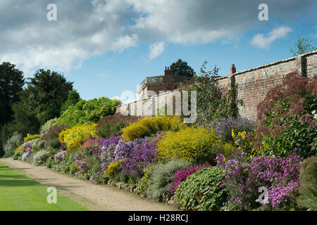 La peste colorato confine erbacee in autunno a Waterperry giardini, Oxfordshire, Inghilterra Foto Stock