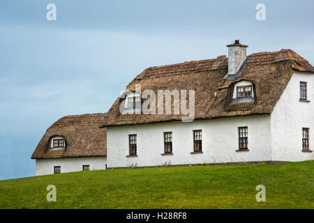 Cottage con il tetto di paglia , vicino a Rossaveel, Connemara, nella contea di Galway, Connaught, Irlanda Foto Stock