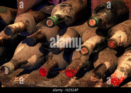 100 anni di bottiglie di vino nella cantina, Tenerife, Isole Canarie, Spagna Foto Stock