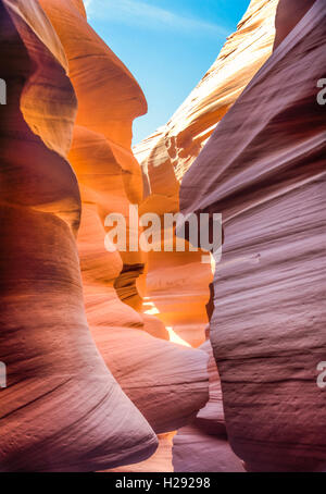 Colorata formazione di arenaria, inferiore Antelope Canyon, Slot Canyon, Pagina, Arizona, Stati Uniti d'America Foto Stock