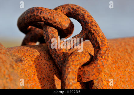 Rusty maglie di catena, la catena di ferro di close-up, Bassa Sassonia, Germania Foto Stock