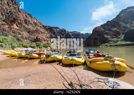 Zattere, gommoni sulle rive del fiume Colorado, rapido, il Parco Nazionale del Grand Canyon, Arizona, Stati Uniti d'America Foto Stock