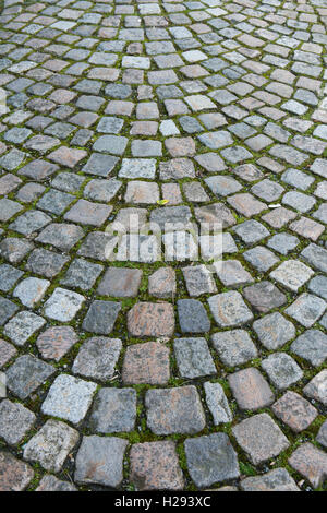 Norvegia, Bergen, UNECSO città dichiarata patrimonio mondiale. Dettaglio della tipica strada di ciottoli.