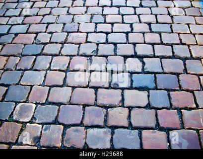 Strada di ciottoli, Praga. Repubblica ceca Foto Stock