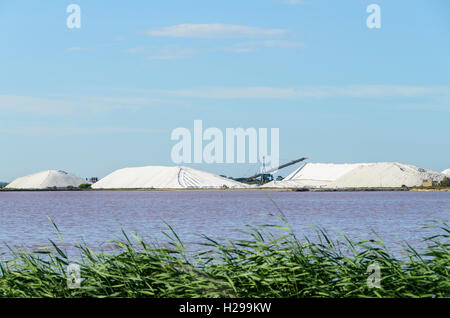 AIGUES MORTES, CAMARGUE, LES SALINS, GARD FRANCIA 30 Foto Stock