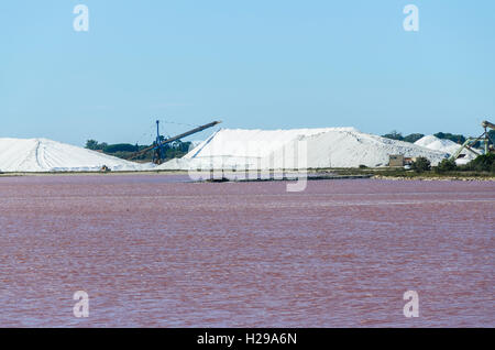 AIGUES MORTES, CAMARGUE, LES SALINS, GARD FRANCIA 30 Foto Stock