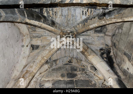 AIGUES MORTES, LOUIS IX, CAMARGUE, GARD FRANCIA 30 Foto Stock