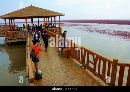 Panjin, Panjin, Cina. 26 Sep, 2016. I visitatori accorrono per la spiaggia rossa in Panjin, a nord-est della Cina di Liaoning, 26 settembre 2016. La spiaggia rossa non è coperto di sabbia, invece, è coperta da un tipo di alga marina. Come arriva l'autunno, la spiaggia rossa abbraccia il suo periodo più bello per visitare, girando vividamente rosso. Credito: SIPA Asia/ZUMA filo/Alamy Live News Foto Stock