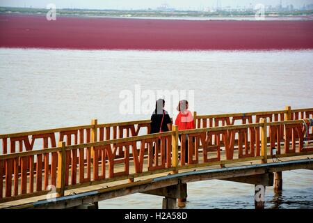 Panjin, Panjin, Cina. 26 Sep, 2016. I visitatori accorrono per la spiaggia rossa in Panjin, a nord-est della Cina di Liaoning, 26 settembre 2016. La spiaggia rossa non è coperto di sabbia, invece, è coperta da un tipo di alga marina. Come arriva l'autunno, la spiaggia rossa abbraccia il suo periodo più bello per visitare, girando vividamente rosso. Credito: SIPA Asia/ZUMA filo/Alamy Live News Foto Stock