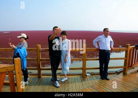 Panjin, Panjin, Cina. 26 Sep, 2016. I visitatori accorrono per la spiaggia rossa in Panjin, a nord-est della Cina di Liaoning, 26 settembre 2016. La spiaggia rossa non è coperto di sabbia, invece, è coperta da un tipo di alga marina. Come arriva l'autunno, la spiaggia rossa abbraccia il suo periodo più bello per visitare, girando vividamente rosso. Credito: SIPA Asia/ZUMA filo/Alamy Live News Foto Stock