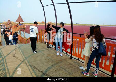 Panjin, Panjin, Cina. 26 Sep, 2016. I visitatori accorrono per la spiaggia rossa in Panjin, a nord-est della Cina di Liaoning, 26 settembre 2016. La spiaggia rossa non è coperto di sabbia, invece, è coperta da un tipo di alga marina. Come arriva l'autunno, la spiaggia rossa abbraccia il suo periodo più bello per visitare, girando vividamente rosso. Credito: SIPA Asia/ZUMA filo/Alamy Live News Foto Stock