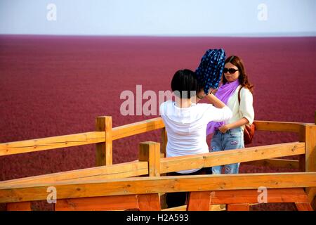 Panjin, Panjin, Cina. 26 Sep, 2016. I visitatori accorrono per la spiaggia rossa in Panjin, a nord-est della Cina di Liaoning, 26 settembre 2016. La spiaggia rossa non è coperto di sabbia, invece, è coperta da un tipo di alga marina. Come arriva l'autunno, la spiaggia rossa abbraccia il suo periodo più bello per visitare, girando vividamente rosso. Credito: SIPA Asia/ZUMA filo/Alamy Live News Foto Stock