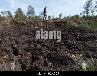 Osterholz-Scharmbeck, Germania. Il 22 settembre, 2016. Un anticamente bagnato, fangoso foro è ora riarsa alla fine dell estate al Ahrensfelder ormeggiare di Osterholz-Scharmbeck, Germania, 22 settembre 2016. Dopo decenni di preparazioni della regione è finalmente pronto per la ri-bagnatura misure. Foto: Ingo Wagner/dpa/Alamy Live News Foto Stock